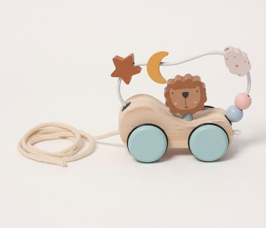 Montessori Roaring Roller