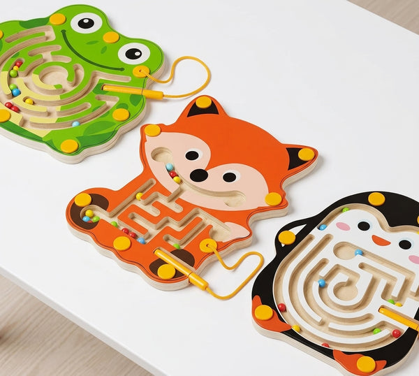 Montessori Magnetic Maze