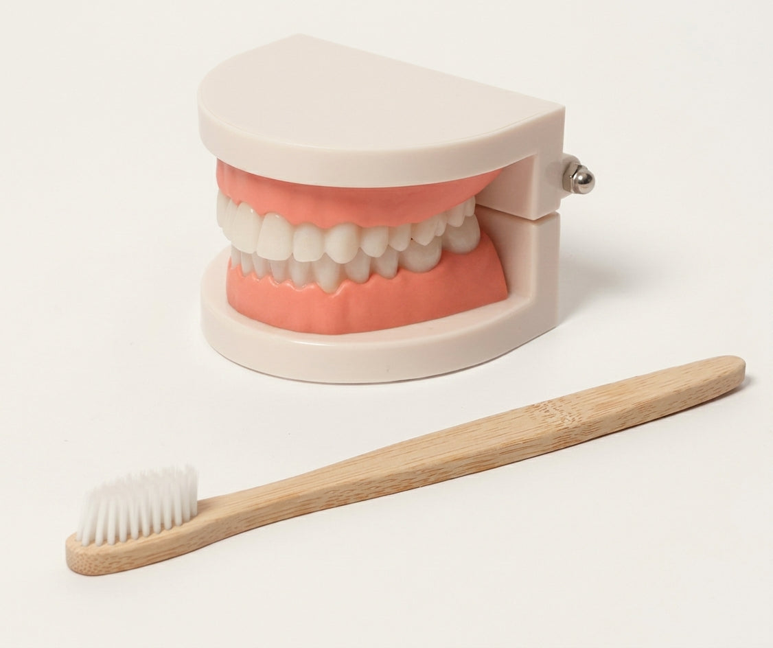 Montessori Brushing Teeth