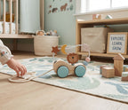 Montessori Roaring Roller
