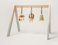 Montessori Play Gym